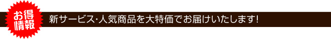 新サービス・人気商品を大特価でお届けいたします！